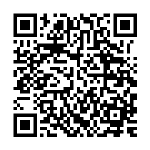 也从来没有出现过一种居然可以导致主动式质量探测失效的情况二维码生成