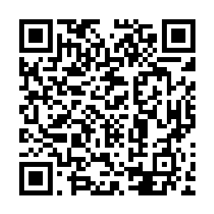 也从自己的衣柜里翻出一件样式老旧却九成新的貂皮大衣过去二维码生成
