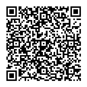 也会敬业地戴上帽子和墨镜――她现在真的是越来越明白为什么演艺圈的大部分明星在机场等地都是墨镜遮脸二维码生成