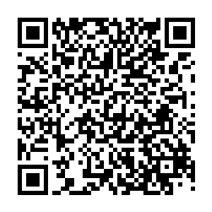 也依然可以毫无违和地感受以致于认同理解他对苏檀儿的征服行动的成功二维码生成