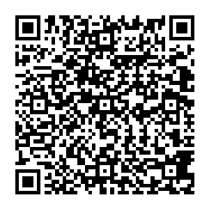 也依然还可以使用……这无极剑光便是凭借的这一套几乎无限升级的特点才得以晋升为神技的二维码生成