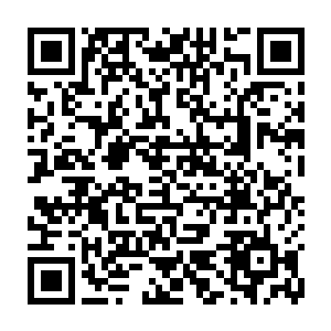 也全都完全没有预料到这一幕的……他们已经做好了长期拼命出手的准备了二维码生成