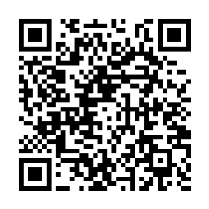 也再没有在晨练的森林公园中遇到同样在晨练的她二维码生成