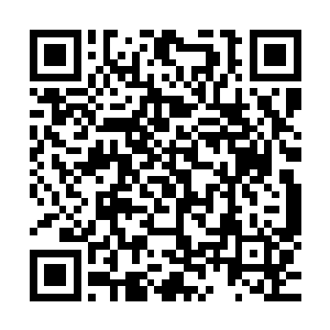 也变成了我们生物课上经常见到的那种人体的肌肉标本的模样二维码生成