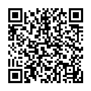 也只有他们家犯法的证据能够一下子给予他们欧阳家重击了二维码生成