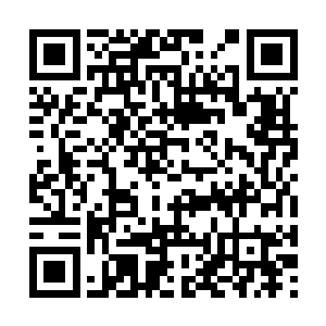 也只有伊法迪亚的居民可以在那时目睹他们的风采二维码生成