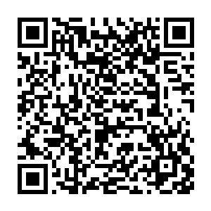 也只有林封谨这种在部族里面说一不二的人才可以制定这样的规则二维码生成