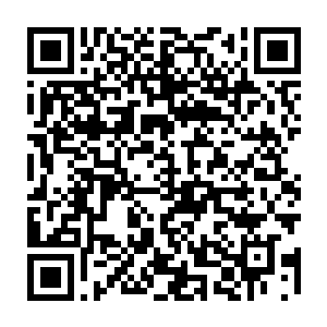 也只能在庇护所世界结界和世界屏障削弱到极点的时候将自身界力渗透进来二维码生成