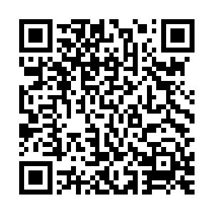 也可以修习一下――正合适谢家这种根基浅薄的家族充实底蕴二维码生成