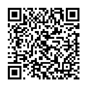 也可能是假的……他们可能还是会占据着绝对优势的二维码生成