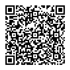 也可能是根据山上遗留下来的残缺大阵推测出山中埋藏着什么了不得的宝贝……所以二维码生成