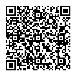也可能这剧本的难度本来就是根据玩家们在boss出发前的一小时里能做到什么程度而变化的二维码生成