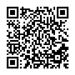也同样被感染了……这是我们现场的部队传回的视频记录……二维码生成