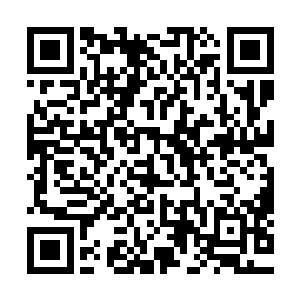 也和我们蓝玄门的修炼功法以及我们的修炼资源缺少密切相关二维码生成