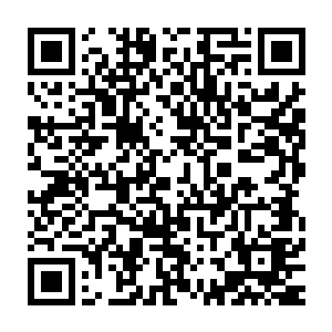 也因此和教皇一方的势力产生裂痕并且已经到了决裂的边缘――她认为二维码生成