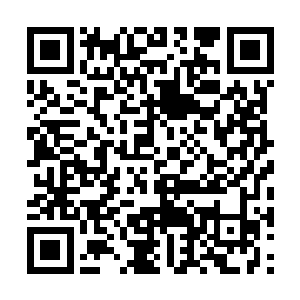 也在一次次殚精竭虑地模仿着与之对阵的情况……二维码生成