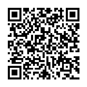 也在一次次训练中给他撑起过后背的战友们牺牲的那一刻二维码生成