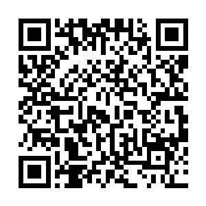 也在不久前击败了排在第二的那名六星武师修为的真传弟子二维码生成