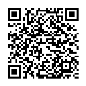 也完全可以利用一些训练出来的鸽子一类的飞鸟传递信息和情报二维码生成