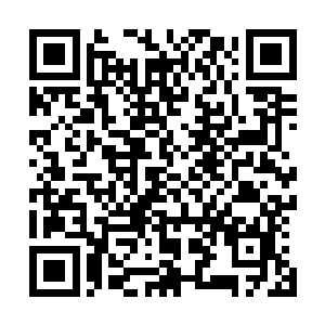 也就只有最神秘的那伽和凤舞属于不完全受第七战将控制了二维码生成