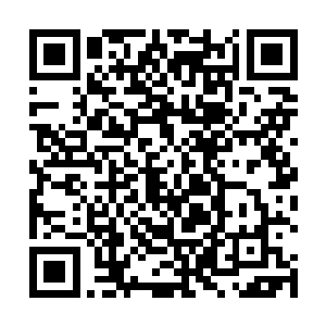 也就可以解释为什么东方明会和主人您碰上混在一起了二维码生成