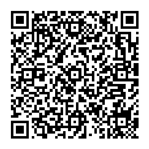 也就意味着县里和桐柏镇政斧原本在通讯器材厂周围新建新大型综合市场的收益会受到很大影响二维码生成
