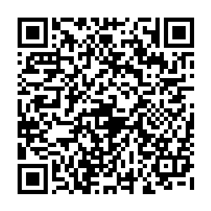 也就是一几条或者说是十几条旗鱼一起把一小群渔从整个大鱼群里赶开来二维码生成