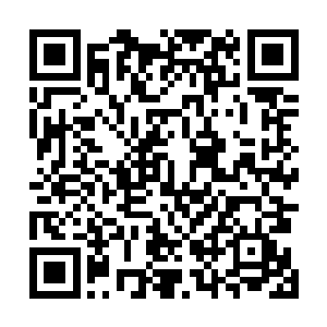 也就是他们程家最小的堂弟程长泰站在院门口侃大山去了二维码生成