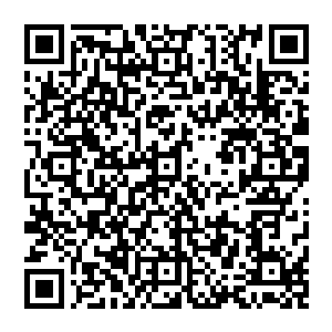 也就是何赌王钦定的何氏赌业集团的继承人……一个掌控着资产达到上千亿美金的庞大集团的女人二维码生成