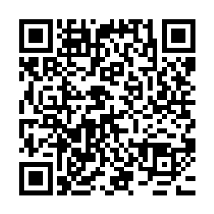 也就是你们蓝岛只想用中央和省里的资金来推动基础设施建设二维码生成