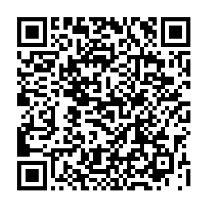 也就是在鲁道夫在冰原巨熊部落的大帐中为完成家族任务开怀畅饮的时候二维码生成