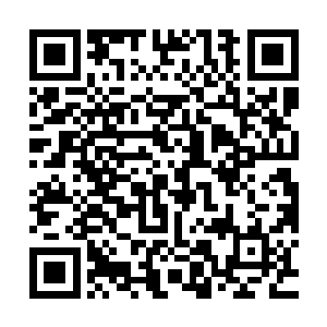 也就是尼克和华妮塔在本集中的最后一段对白也被安排到了这天二维码生成