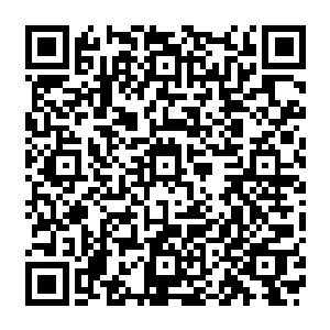 也就是欧阳白的父亲用了什么条件与附近海域内的一些稍微有点实力的妖兽全部达成了协议二维码生成