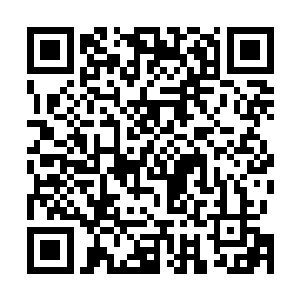 也就是说可以统筹建设防御型工事……都在你家盖堡垒了二维码生成