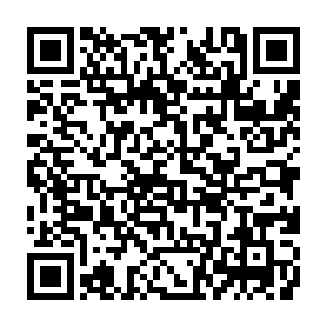 也就是说在这一次对决中胜出的人他们会被再次分成两队在进行下一轮对决二维码生成