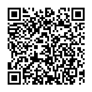 也就是说血族在这敏感时刻出现了一名位阶为加冕亲王的新生始祖二维码生成