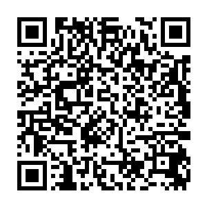 也就是那几首在李谦嘴里可以让她们获得主流媒体和乐评界认可的歌二维码生成