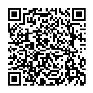 也就比布条稍微好一点而已……身上还可以在他的身上找到一些带血的伤痕二维码生成