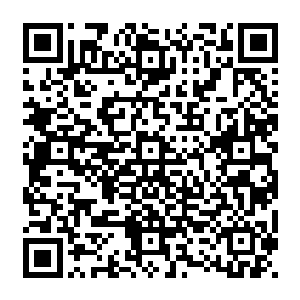也已经一次又一次的筛选了有资格与他一战的杀手的实力了……七星杀手已经基本淘汰二维码生成
