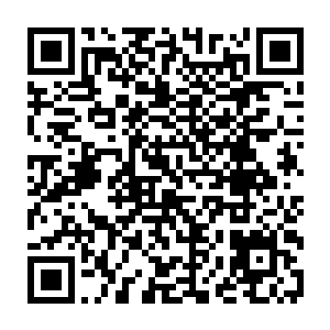 也开始在一阵阵密密麻麻的咀嚼声中被一点一点的啃出了无数个细小的伤口二维码生成