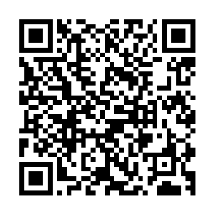 也当是我对你在武者神殿那段时间对我无微不至的照顾的回报二维码生成