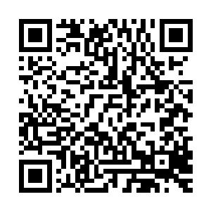 也才可以没有任何束缚的按照他自己的想法去表明态度和干事情二维码生成