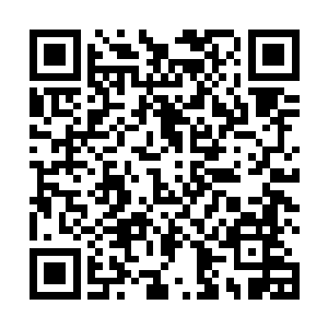 也执意要他这个弟弟暂时不去触碰堆积成山的案牍政务二维码生成