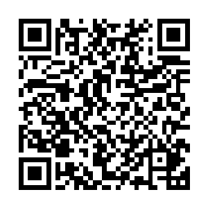 也把燕小霞当时在追杀那汨江毒龙时斩去的那条臂膀给复原了二维码生成