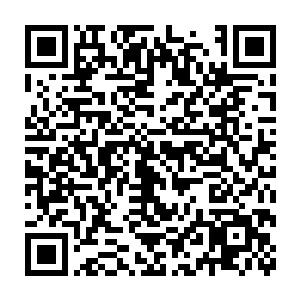 也挡不住裂风狼王的这一击的……直接一招枭首根本不是什么难事儿的二维码生成