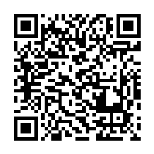 也推动了秦方的补血药……极品汤包可以退出历史舞台了二维码生成