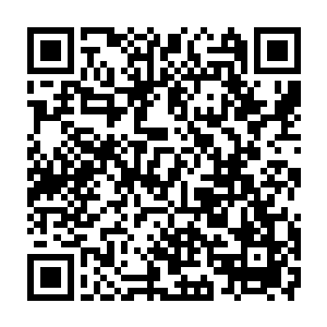 也方便在一些无法动用高深剑术的时候能够凭着过人的基础剑术击败强敌二维码生成