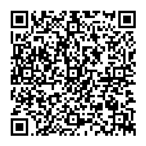 也无法炼化我的混沌冰气和混沌火气为根基形成的混沌不灭气……只要无法毁灭那两种混沌之气二维码生成