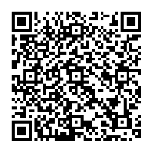 也明白对方为什么要让自己推行连横合纵……他是想利用自己足够强大时就可以打通结界二维码生成