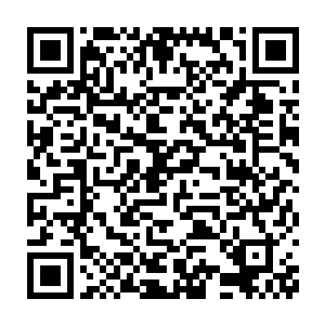 也是上次在去青麟城搬救兵时候带领我们强行闯过迷雾石林的那个人二维码生成